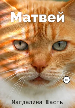 Магдалина Шасть Матвей обложка книги