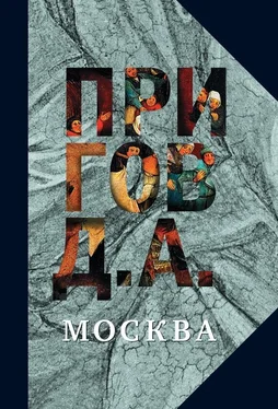 Дмитрий Пригов Москва обложка книги