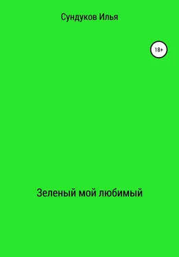 Илья Сундуков Зеленый мой любимый обложка книги