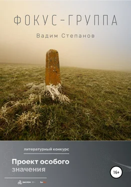 Вадим Степанов Фокус-группа обложка книги