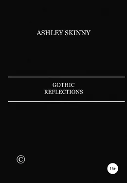 Ashley Skinny Gothic Reflections обложка книги