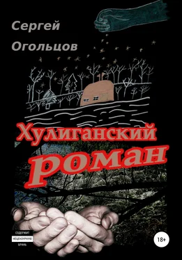 Сергей Огольцов Хулиганский Роман (в одном, охренеть каком длинном письме про совсем краткую жизнь), или …а так и текём тут себе, да… обложка книги