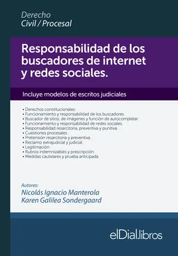 Nicolas I. Manterola Responsabilidad de los buscadores de Internet y redes sociales обложка книги