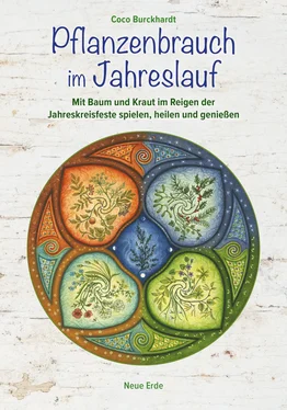 Coco Burckhardt Pflanzenbrauch im Jahreslauf обложка книги