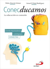 Pedro Alarcón Gómez - Conecducamos