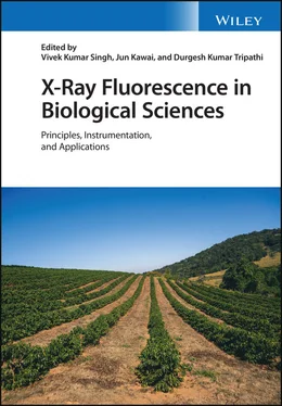 Неизвестный Автор X-Ray Fluorescence in Biological Sciences обложка книги