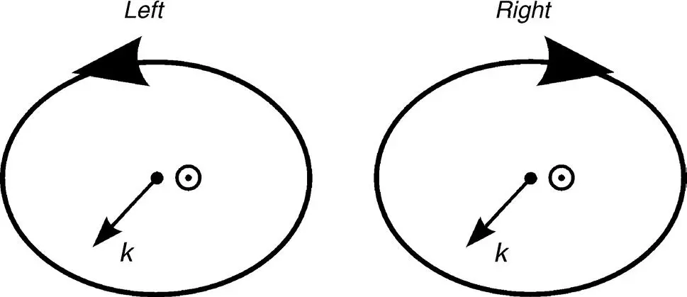 Figure 36 Right and lefthanded elliptically polarized light seen against the - фото 147