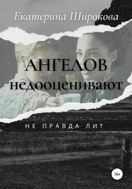 Екатерина Широкова Ангелов недооценивают, не правда ли? обложка книги