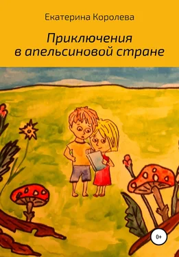 Екатерина Королева Приключения в апельсиновой стране обложка книги