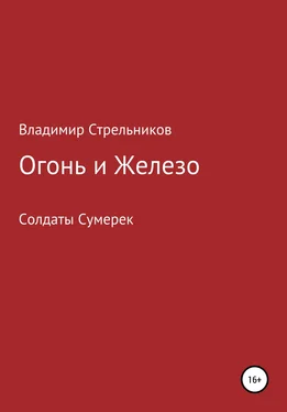 Владимир Стрельников Огонь и железо обложка книги