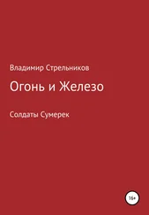 Владимир Стрельников - Огонь и железо