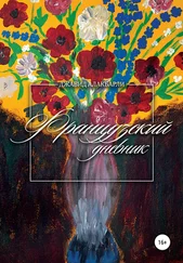 Джавид Алакбарли - Французский дневник