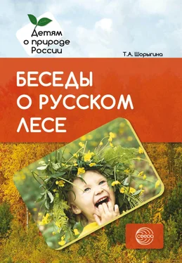 Татьяна Шорыгина Беседы о русском лесе обложка книги