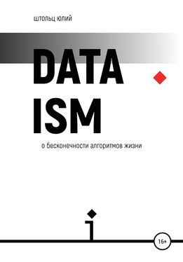 Юлий Штольц Датаизм: о бесконечности алгоритмов жизни обложка книги