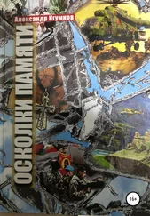 Александр Игумнов - Осколки памяти