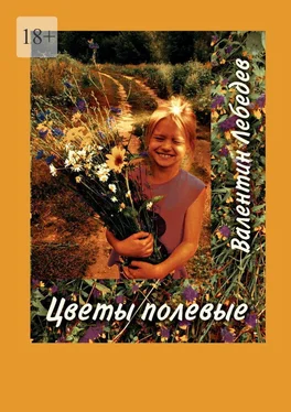 Валентин Лебедев Цветы полевые обложка книги