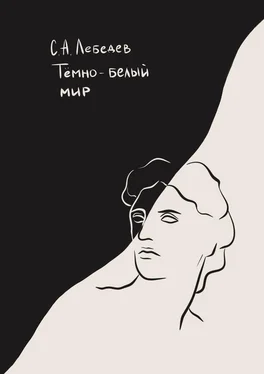 Святослав Лебедев Темно-белый мир. Сборник стихотворений обложка книги