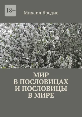 Михаил Бредис Мир в пословицах и пословицы в мире обложка книги