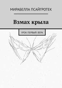 Мирабелла Псайгротек Взмах крыла. Урок первый: вера обложка книги