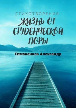 Александр Симоненков Жизнь от студенческой поры обложка книги