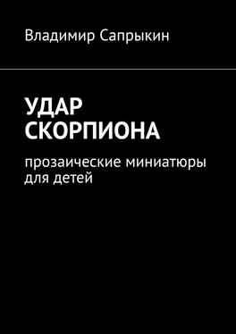 Владимир Сапрыкин Удар скорпиона. Прозаические миниатюры для детей обложка книги