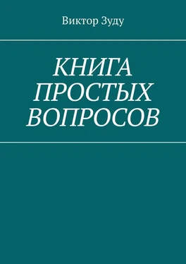 Виктор Зуду Книга простых вопросов обложка книги