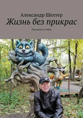 Александр Шехтер - Жизнь без прикрас. Рассказы и стихи