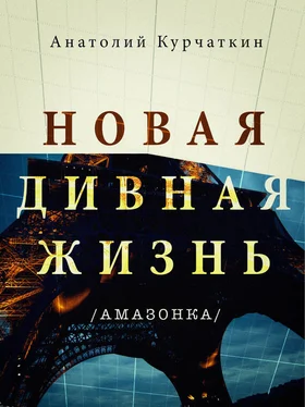 Анатолий Курчаткин Новая дивная жизнь (Амазонка) обложка книги