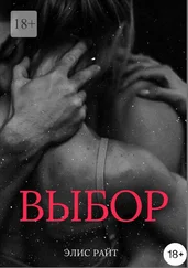 Элис Райт - Выбор
