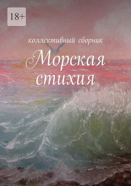 Ирина Силецкая Морская стихия обложка книги