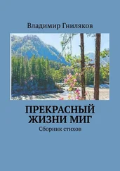 Владимир Гниляков - Прекрасный жизни миг. Сборник стихов