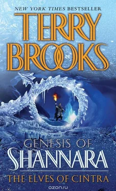 Terry Brooks The Elves of Cintra обложка книги