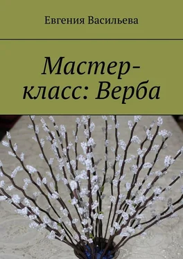 Евгения Васильева Мастер-класс: Верба обложка книги