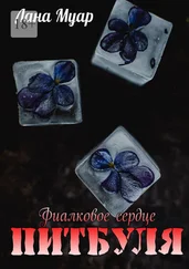 Лана Муар - Фиалковое сердце Питбуля