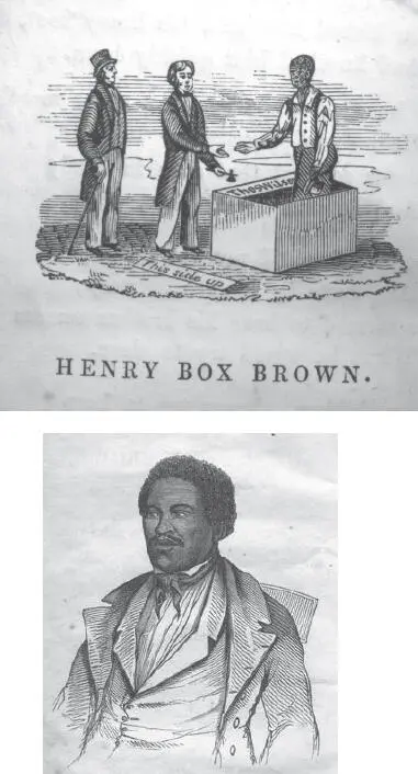 Conversely as Cutter remarks Ann Prestons text grants Brown a degree of - фото 17