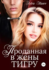 Astra Maore - Проданная в жены тигру