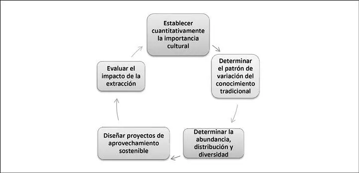 Fuente elaboración propia con base en Bermúdez OliveiraMiranda y Velásquez - фото 5