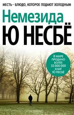 Ю Несбё Немезида обложка книги