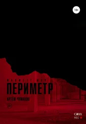 Артём Чумаков - Периметр 2. Маджетт шоу