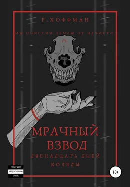 Рита Хоффман Мрачный взвод. Двенадцать дней Коляды обложка книги