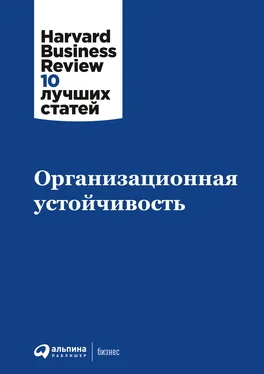 Коллектив авторов Организационная устойчивость обложка книги