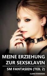 Claire Stonehead - Meine Erziehung zur Sexsklavin – SM Fantasien (Teil 2)