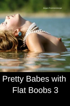 Jürgen Prommersberger Pretty Babes with Flat Boobs 3 обложка книги
