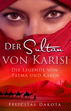 Felicitas Dakota Der Sultan von Karisi обложка книги