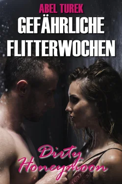 Abel Turek Gefährliche Flitterwochen - Dirty Honeymoon обложка книги