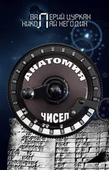 Валерий Цуркан - Анатомия чисел