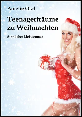 Amelie Oral Teenagerträume zu Weihnachten обложка книги