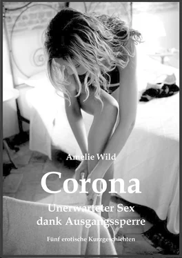 Amelie Wild Corona - Unerwarteter Sex dank Ausgangssperre обложка книги