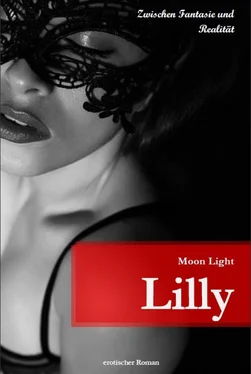 Moon Light Lilly обложка книги