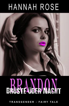 Hannah Rose Brandon - Brüste über Nacht обложка книги